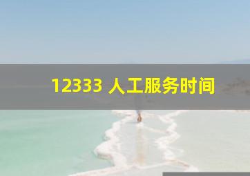 12333 人工服务时间